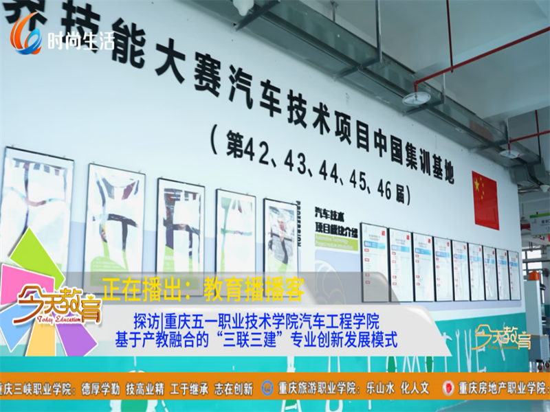 图片8.png